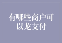 龙支付的广泛适用性及商户应用场景解析