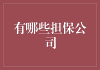 担保公司：比银行更灵活的贷款保险公司？