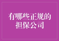 甄选优质担保公司：构建稳健的贷款与融资桥梁