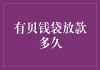 借我你的耳朵，告诉我钱袋里的秘密——揭秘'有贝钱袋'放款时间那些事儿！