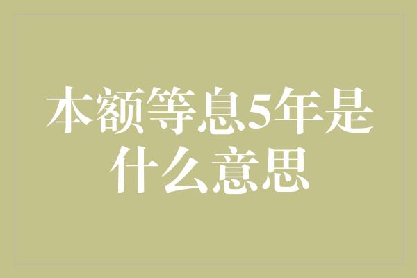 本额等息5年是什么意思