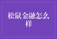 松鼠金融：一只在金融森林里的勤劳小松鼠