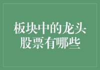 谁是股市中的佼佼者？寻找板块中的龙头股