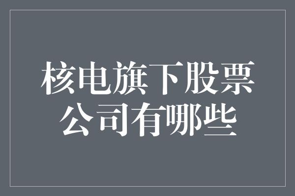 核电旗下股票公司有哪些