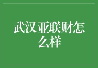 武汉亚联财：金融创新的先行者