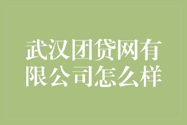 武汉团贷网有限公司怎么样