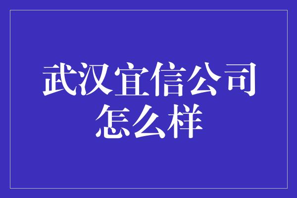 武汉宜信公司怎么样