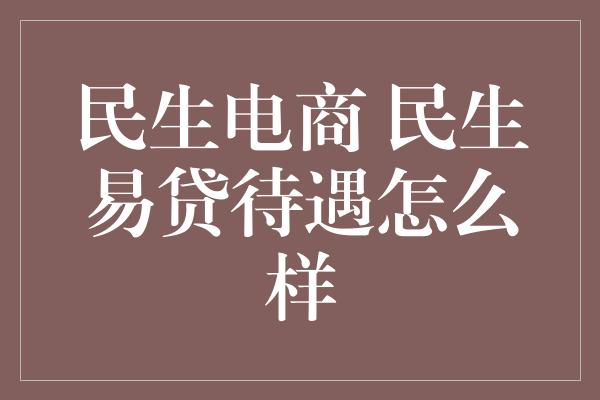 民生电商 民生易贷待遇怎么样