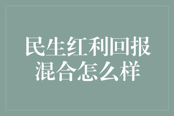 民生红利回报混合怎么样