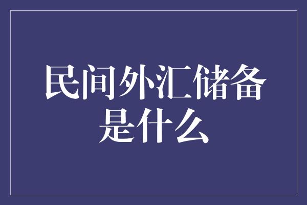 民间外汇储备是什么