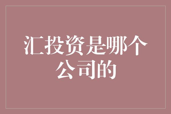 汇投资是哪个公司的