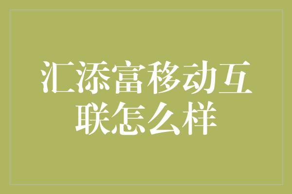 汇添富移动互联怎么样