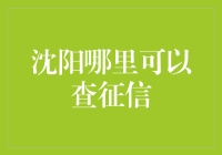 沈阳征信查询指南：专业机构与在线查询渠道详解