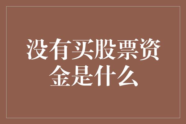 没有买股票资金是什么