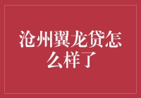 沧州翼龙贷的实际运营状况分析