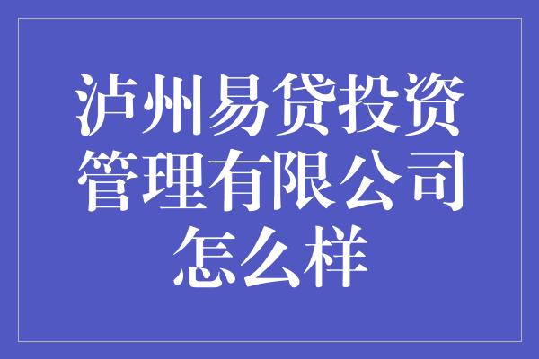 泸州易贷投资管理有限公司怎么样