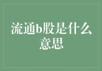 流通B股是什么意思？别急，让我给你上一堂趣味金融课