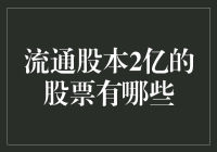 从2亿流通股本中寻找股民的宝藏股票