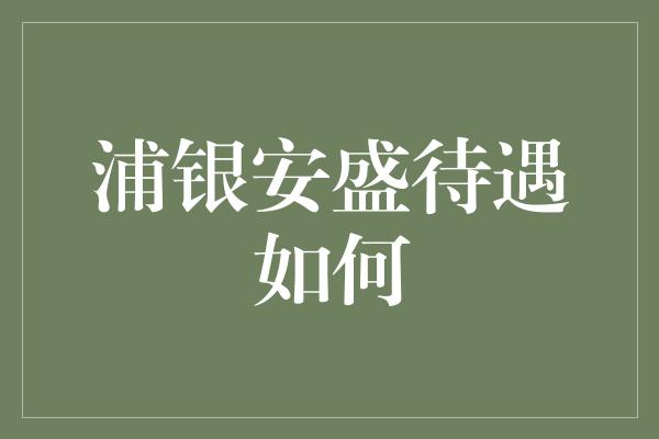 浦银安盛待遇如何