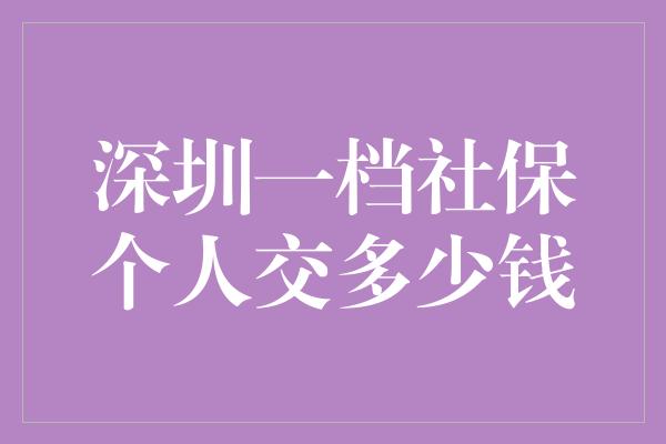 深圳一档社保个人交多少钱