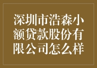 深圳市浩森小额贷款股份有限公司：金融信贷服务新标杆