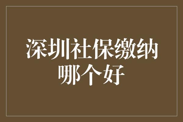 深圳社保缴纳哪个好