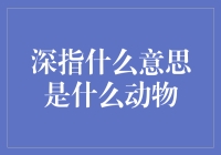 深指是什么意思？它和动物有什么关系？