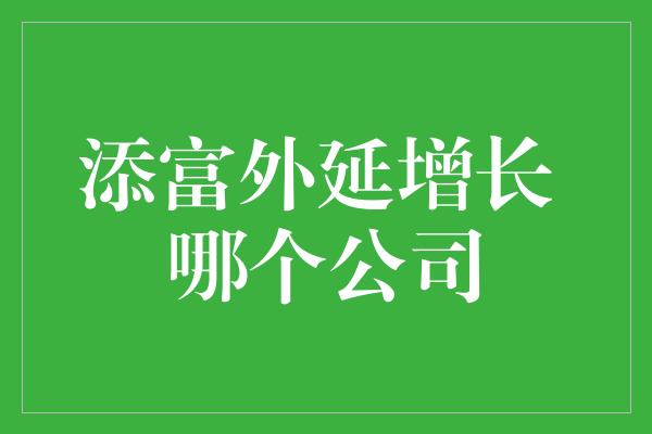 添富外延增长 哪个公司