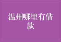 温州哪里有借款？ 你不可不知的借贷秘籍