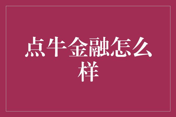 点牛金融怎么样