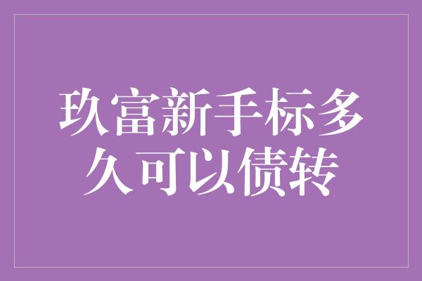 玖富新手标多久可以债转