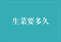 生菜的生长周期：从种植到收获的每一个关键步骤