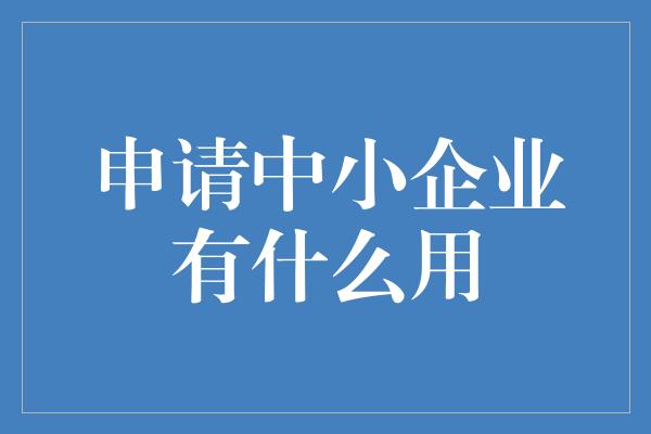 申请中小企业有什么用