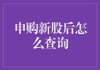 申购新股后如何查询？掌握新股查询的正确方法，让您的投资决策更加精准