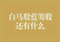 价值投资与成长投资：白马股、蓝筹股之外的隐形冠军