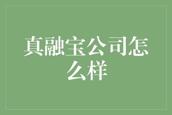 真融宝公司怎么样