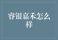 睿银嘉禾：一场老年人退休金的新冒险？