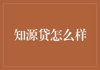 知源贷：探索新型金融支持模式的潜力与挑战