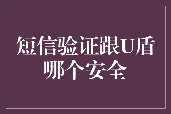 短信验证跟U盾哪个安全