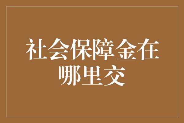 社会保障金在哪里交