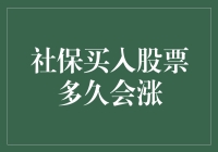 关于社保买入股票多久会涨的那些猜想和误解