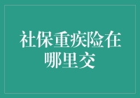 社保重疾险在哪里交？且听我这个社保专家一一道来！