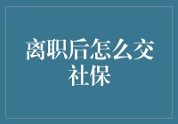 离职后如何继续缴费：探索多样化的社保缴纳途径与策略