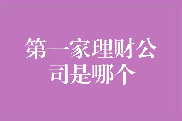 第一家理财公司是哪个