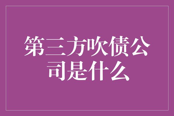 第三方吹债公司是什么