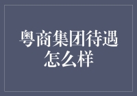 粤商集团：卓越职业发展路径下的全面保障与激励机制