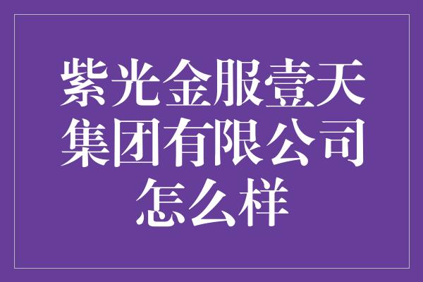 紫光金服壹天集团有限公司怎么样