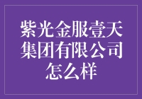 紫光金服壹天集团有限公司：可能是你从未听说过的神秘巨头