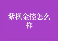 紫枫金控：在中国金融市场上的新星