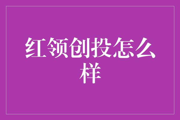 红领创投怎么样